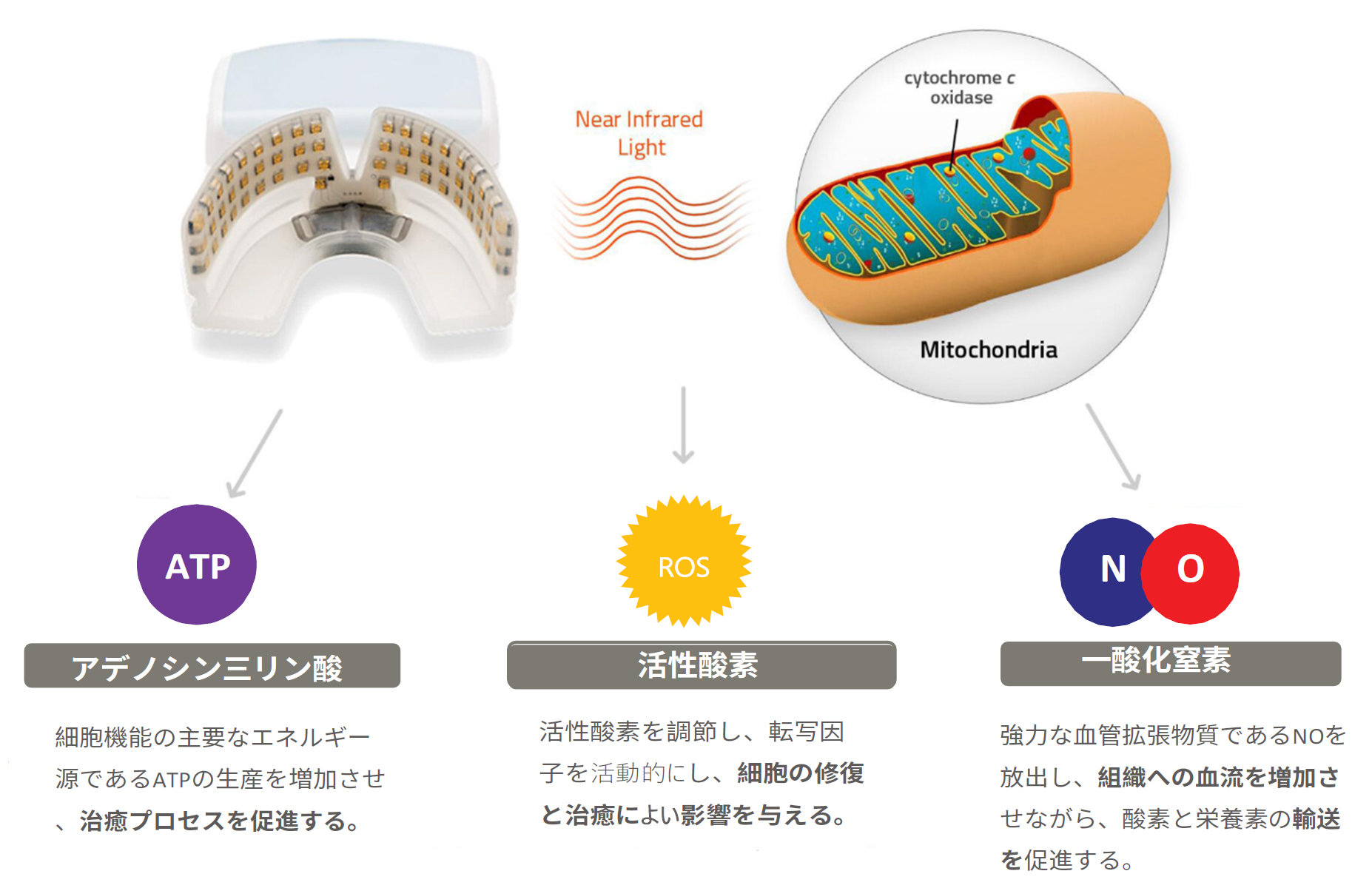 光加速矯正装置（オルソパルス） | 五十嵐歯科室